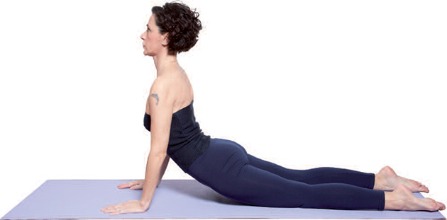bujangasana