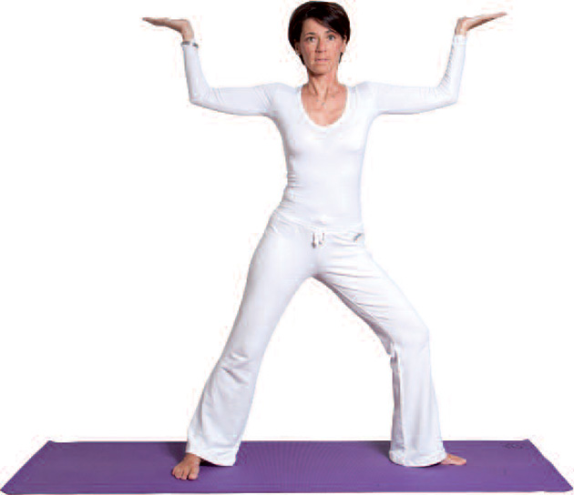 HANUMANSANA