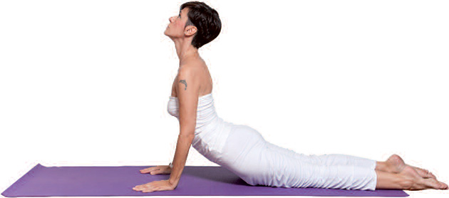 BUJANGASANA