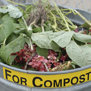 compost