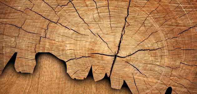 legno